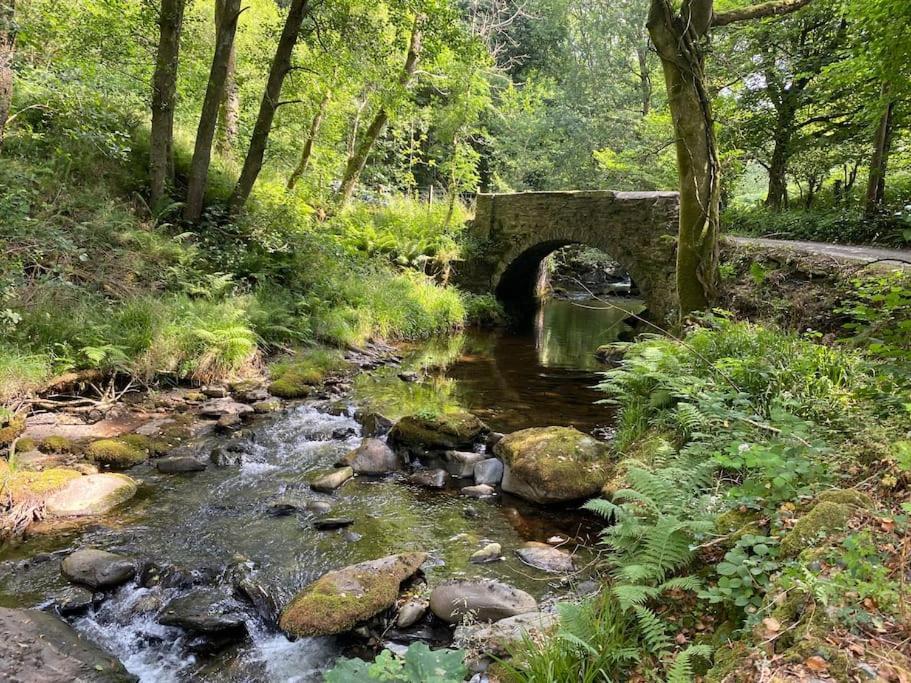 Bear Cottage, Tyn Y Cwm Eglwys-Fach Экстерьер фото