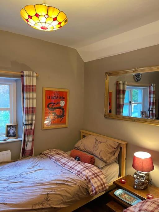 Bear Cottage, Tyn Y Cwm Eglwys-Fach Экстерьер фото